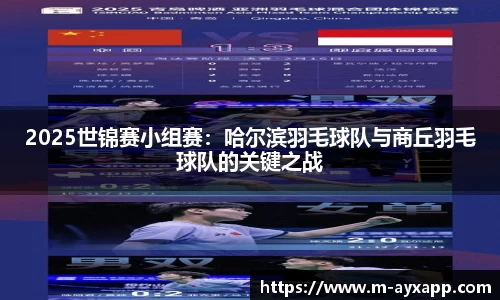 2025世锦赛小组赛：哈尔滨羽毛球队与商丘羽毛球队的关键之战